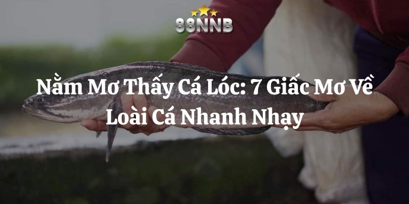 nằm mơ thấy cá lóc 88nn thumb