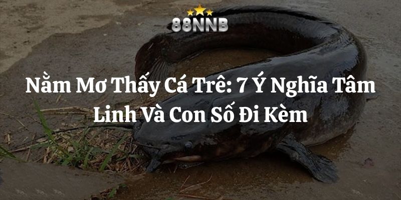 nằm mơ thấy cá trê 88nn thumb