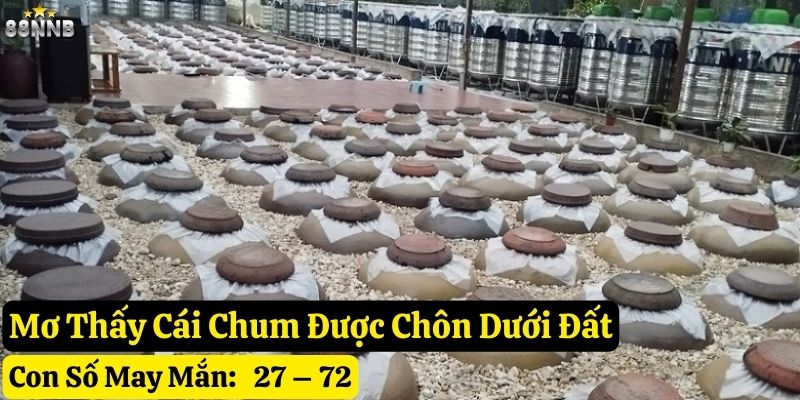 mơ thấy cái chum