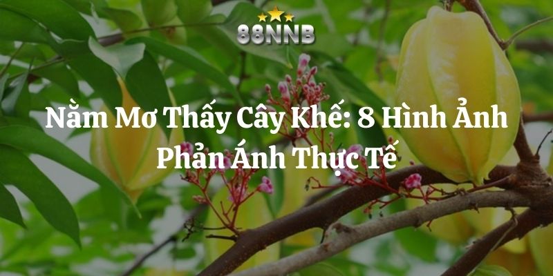 nằm mơ thấy cây khế 88nn thumb