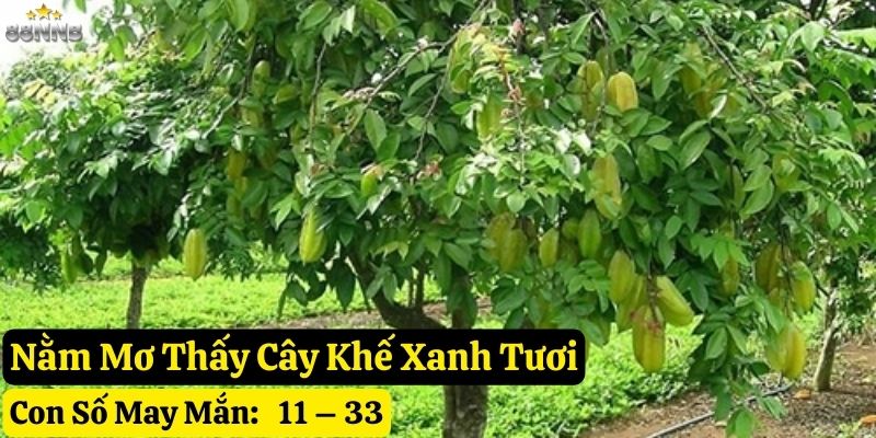 nằm mơ thấy cây khế