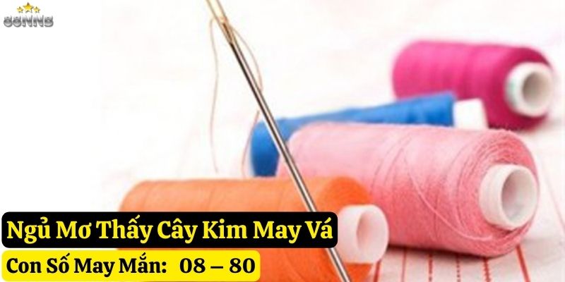 ngủ mơ thấy cây kim