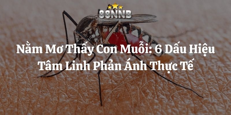 nằm mơ thấy con muỗi 88nn thumb