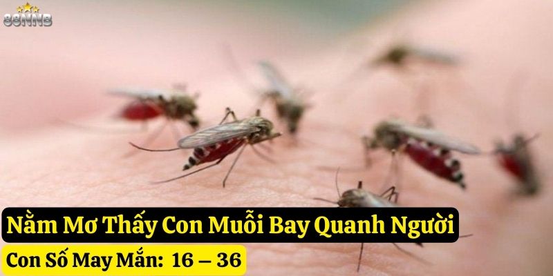 mơ thấy con muỗi