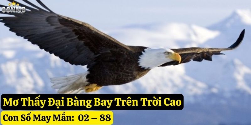 mơ thấy đại bàng