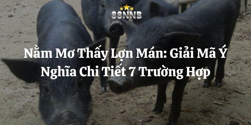nằm mơ thấy lợn mán 88nn thumb