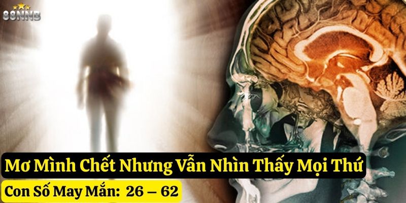 nằm mơ thấy mình chết 88nn