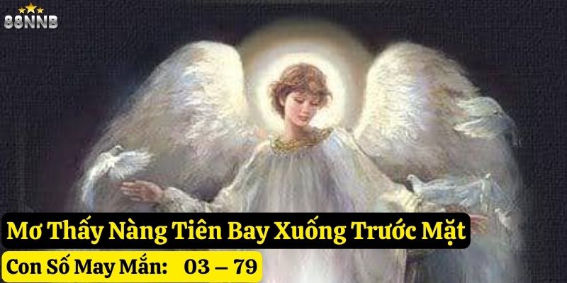 mơ thấy nàng tiên