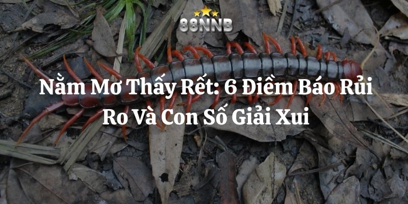 nằm mơ thấy rết 88nn thumb