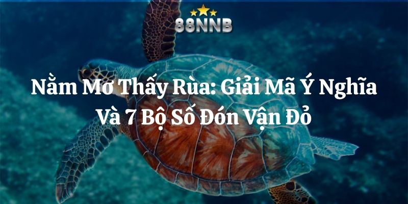 nằm mơ thấy rùa 88nn thumb