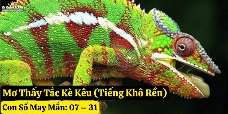 mơ thấy tắc kè