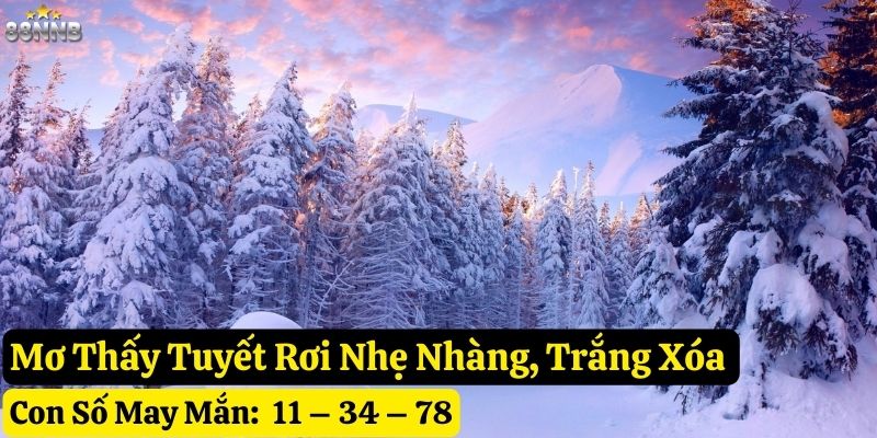 mơ thấy tuyết rơi 88nn