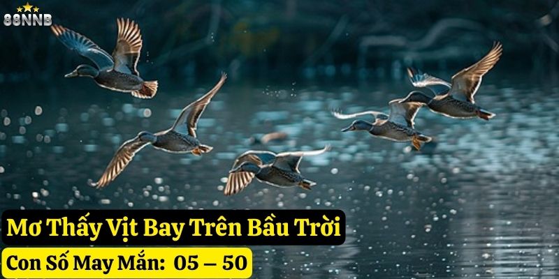 nằm mơ thấy vịt