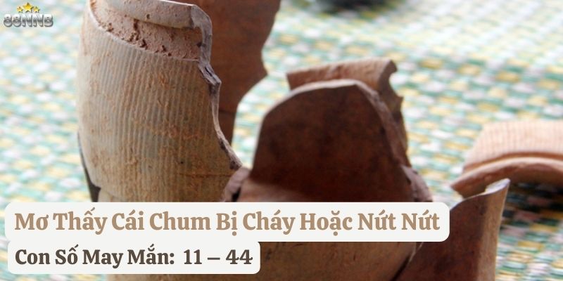 mơ thấy cái chum 88nn