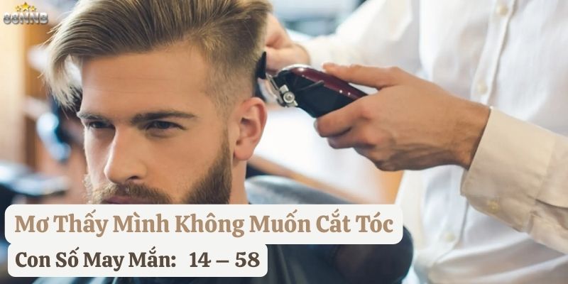 mơ thấy cắt tóc 88nn