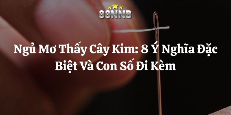 ngủ mơ thấy cây kim 88nn thumb
