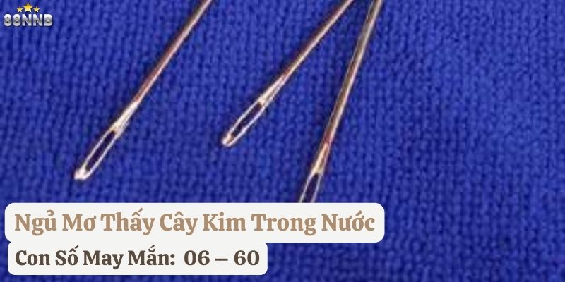 ngủ mơ thấy cây kim 88nn