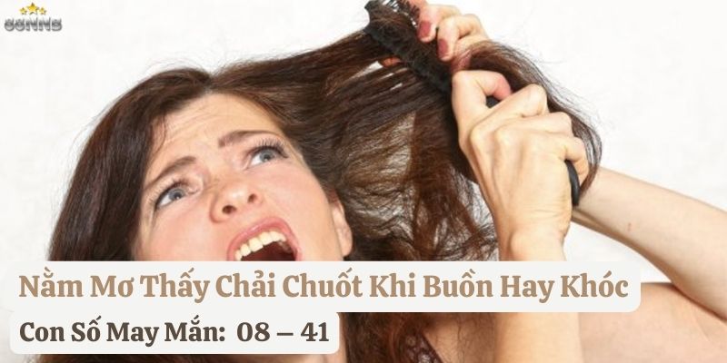 nằm mơ thấy chải chuốt 88nn