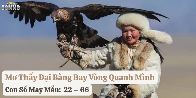 mơ thấy đại bàng 88nn