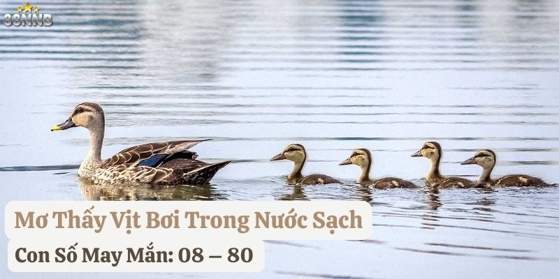 nằm mơ thấy con vịt
