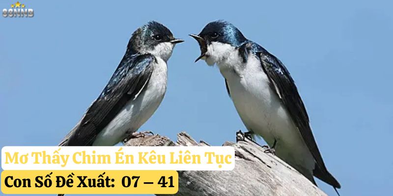 nằm mơ thấy chim én