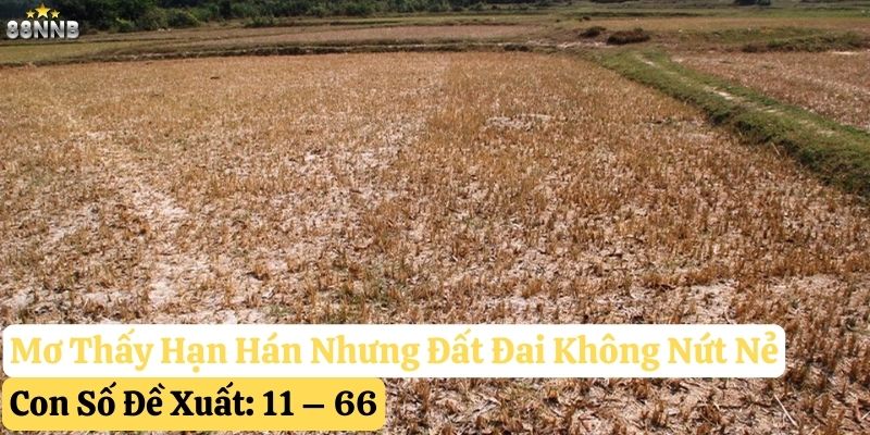 nằm mơ thấy hạn hán