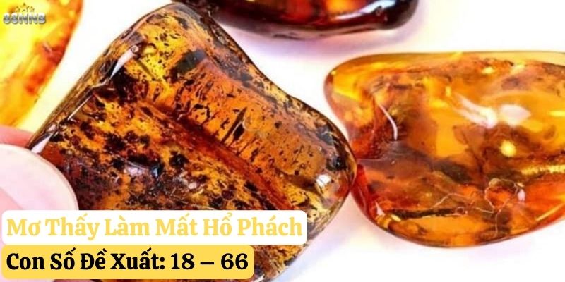 nằm mơ thấy hổ phách