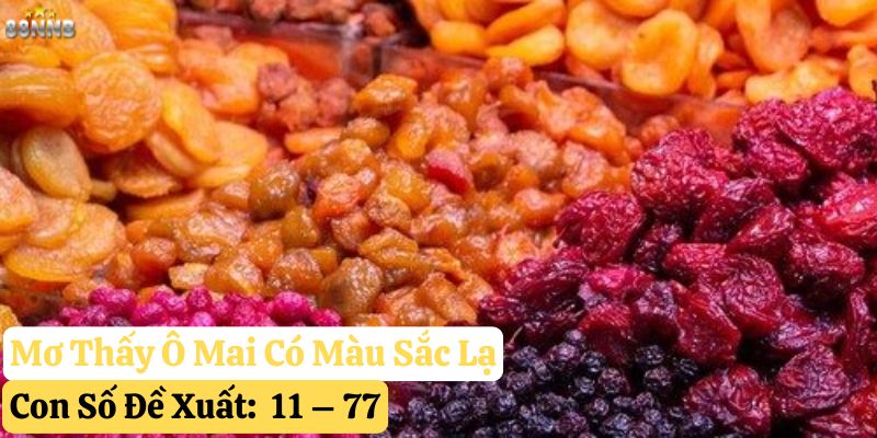 nằm mơ thấy ô mai