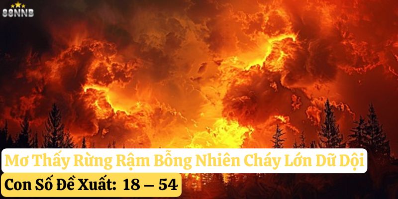 nằm mơ thấy rừng rậm
