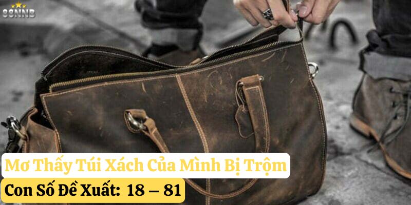 nằm mơ túi xách