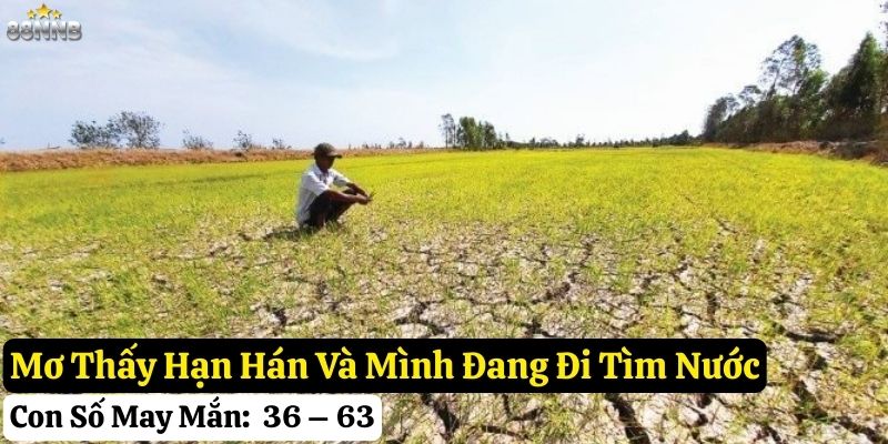 mơ thấy hạn hán