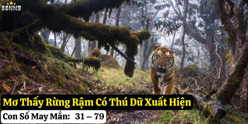 mơ thấy rừng rậm