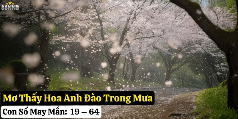 mơ thấy hoa anh đào