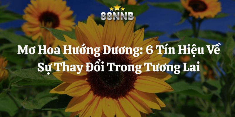 mơ hoa hướng dương 88nn thumb