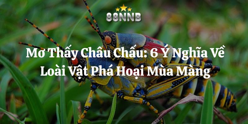 mơ thấy châu chấu 88nn thumb