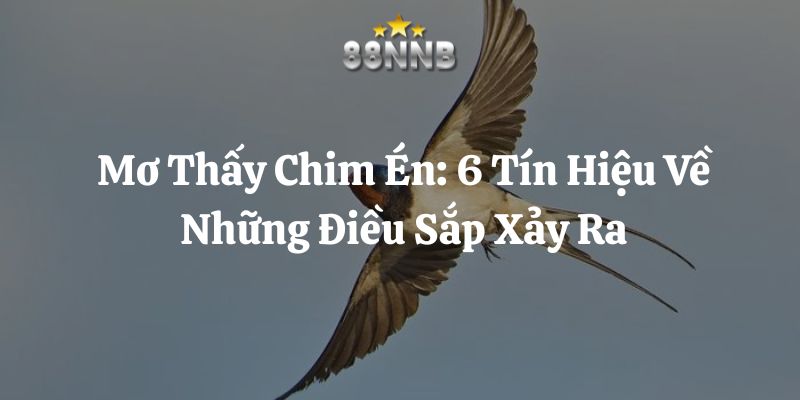 mơ thấy chim én 88nn thumb