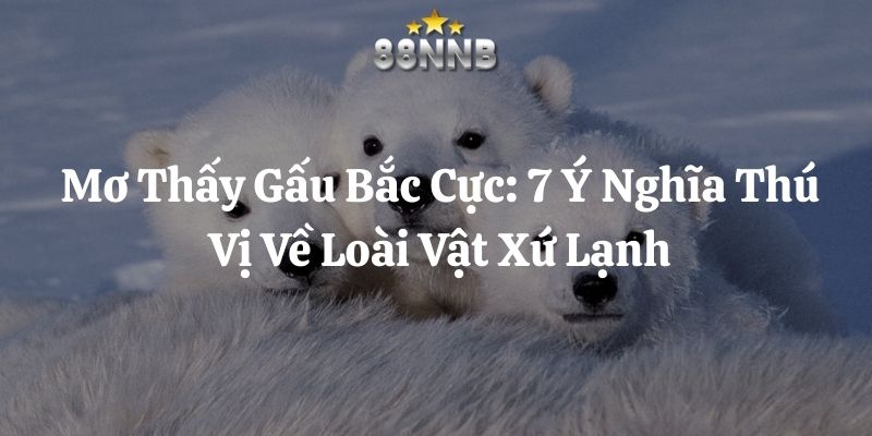 mơ thấy gấu bắc cực 88nn thumb