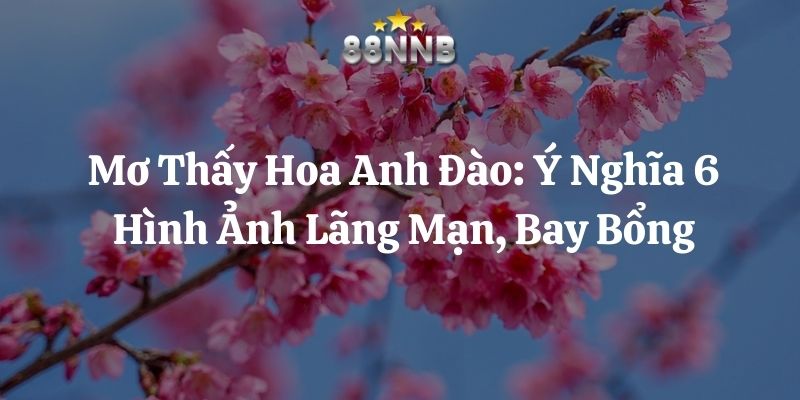 mơ thấy hoa anh đào 88nn thumb