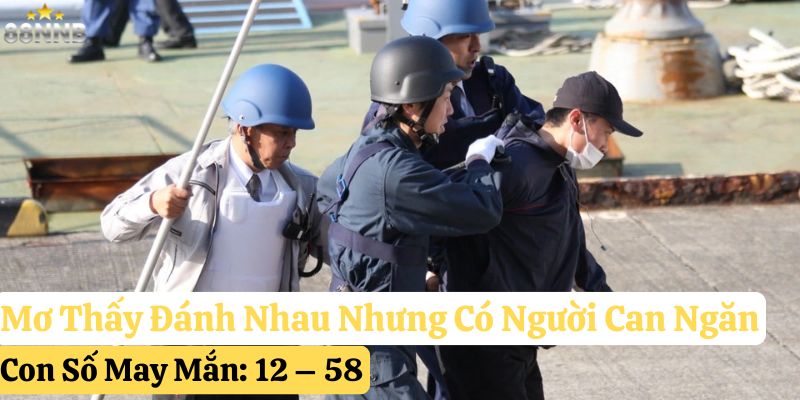 mơ đánh nhau có vũ khí