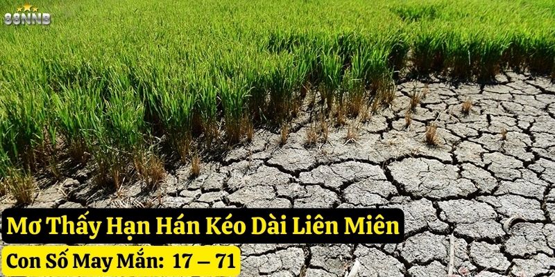 mơ thấy hạn hán 88nn