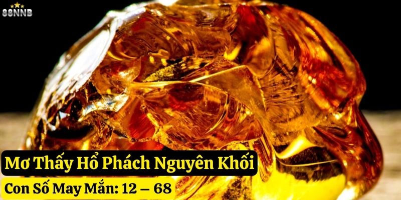 mơ thấy hổ phách 88nn