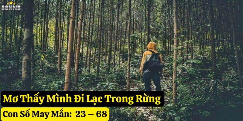 mơ thấy rừng rậm 88nn