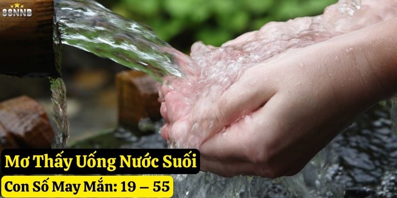 mơ thấy suối 88nn