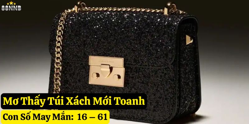 mơ thấy túi xách