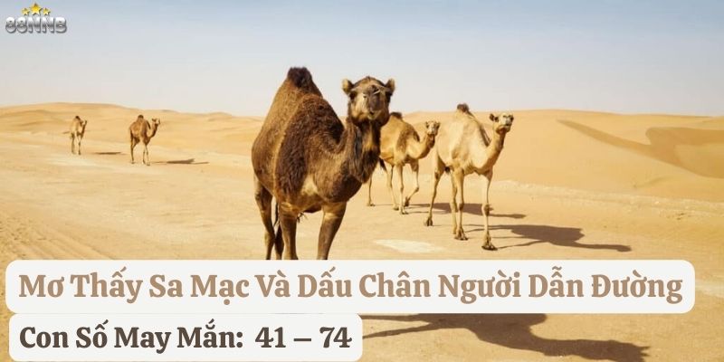 mơ thấy sa mạc 88nn