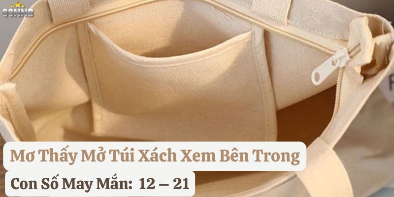 mơ thấy túi xách 88nn